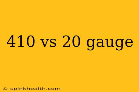 410 vs 20 gauge