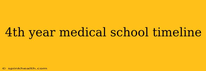 4th year medical school timeline