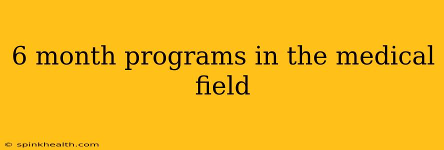 6 month programs in the medical field