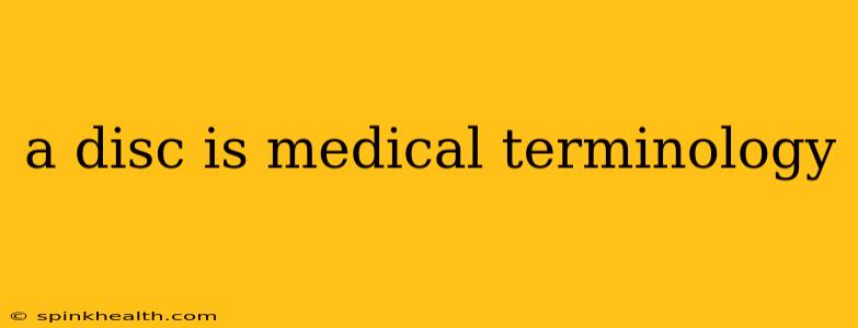 a disc is medical terminology