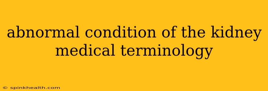 abnormal condition of the kidney medical terminology