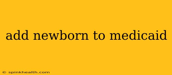 add newborn to medicaid
