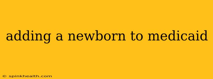 adding a newborn to medicaid