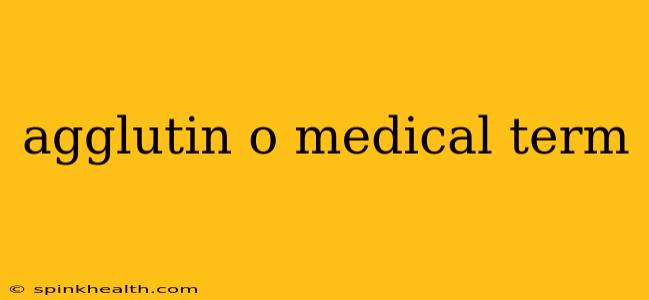 agglutin o medical term