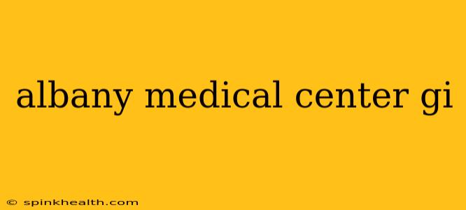 albany medical center gi