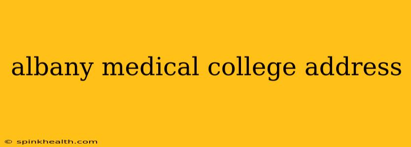 albany medical college address