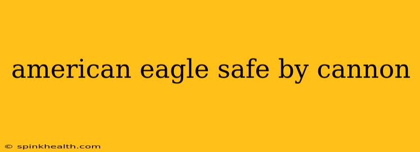 american eagle safe by cannon