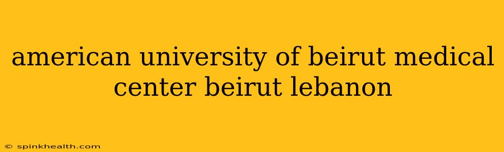 american university of beirut medical center beirut lebanon