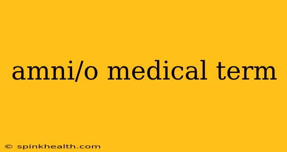 amni/o medical term