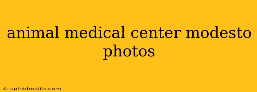 animal medical center modesto photos