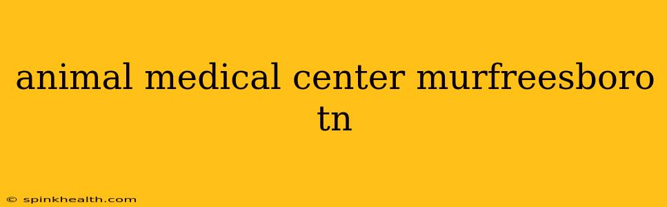 animal medical center murfreesboro tn