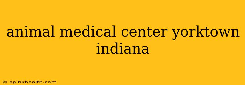 animal medical center yorktown indiana