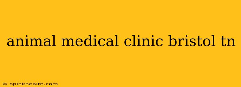 animal medical clinic bristol tn