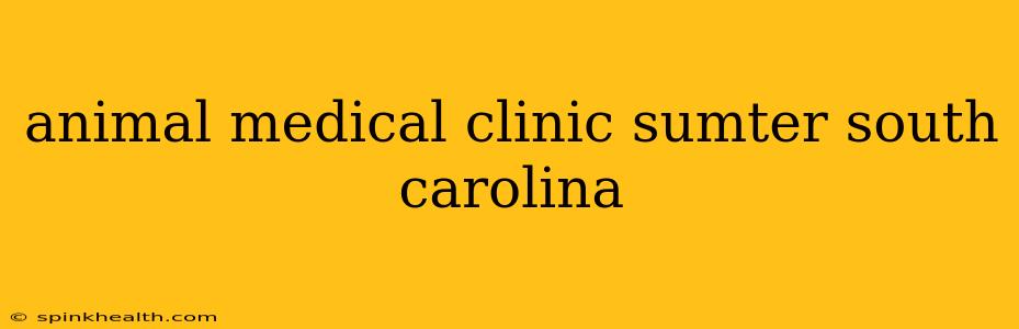 animal medical clinic sumter south carolina