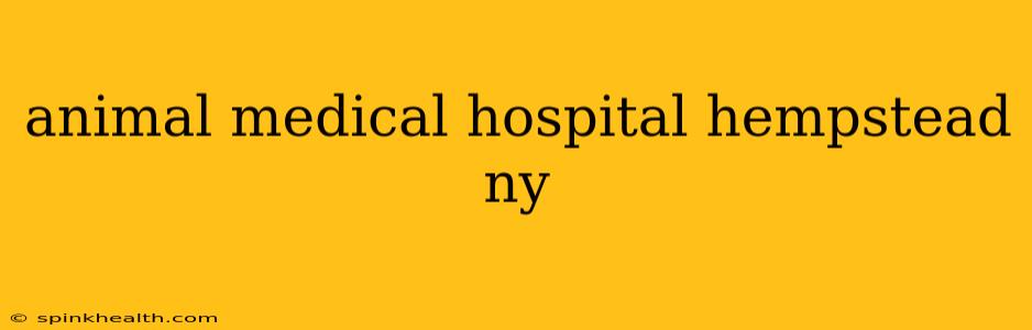 animal medical hospital hempstead ny