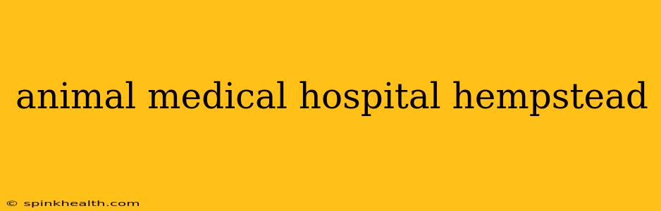 animal medical hospital hempstead