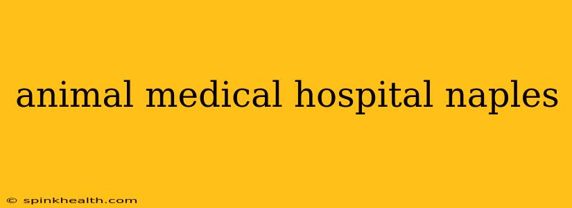 animal medical hospital naples