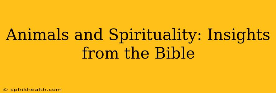 Animals and Spirituality: Insights from the Bible
