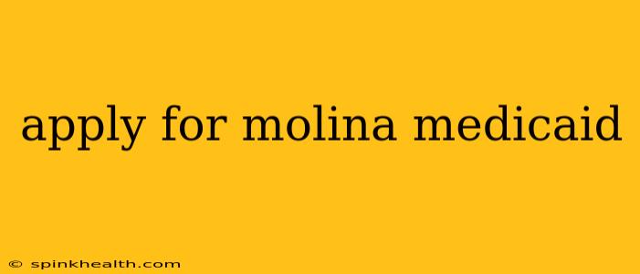 apply for molina medicaid