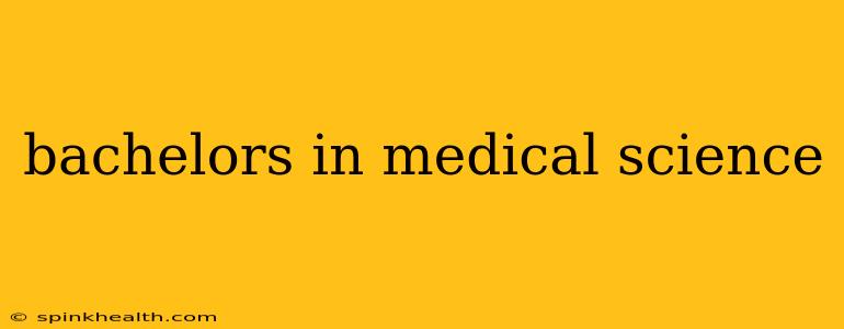 bachelors in medical science