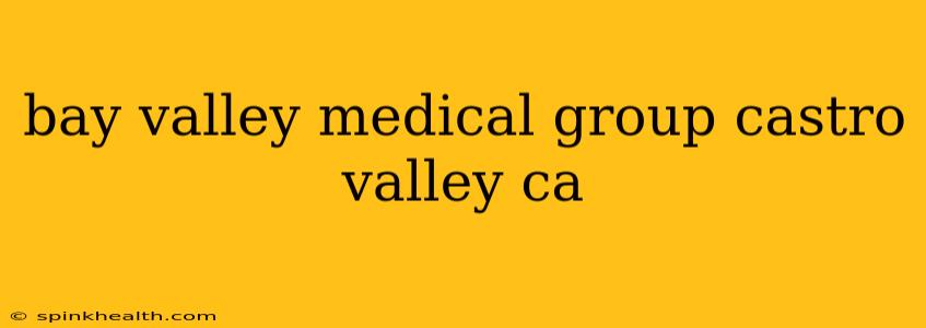 bay valley medical group castro valley ca