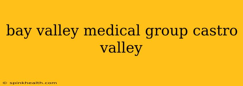 bay valley medical group castro valley