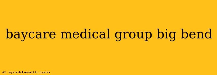 baycare medical group big bend