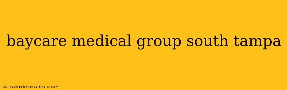 baycare medical group south tampa