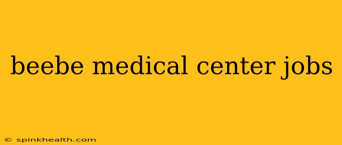 beebe medical center jobs