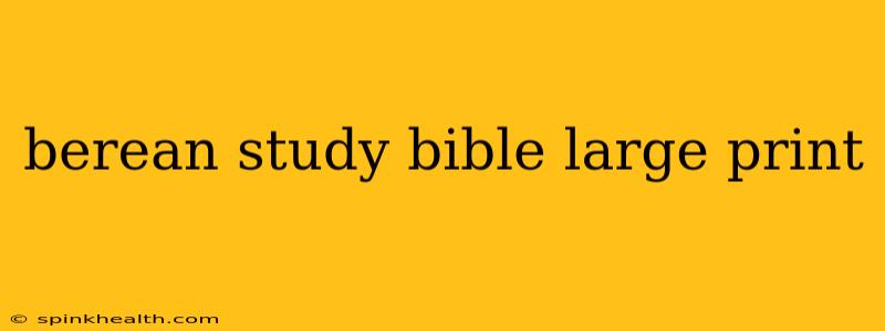 berean study bible large print