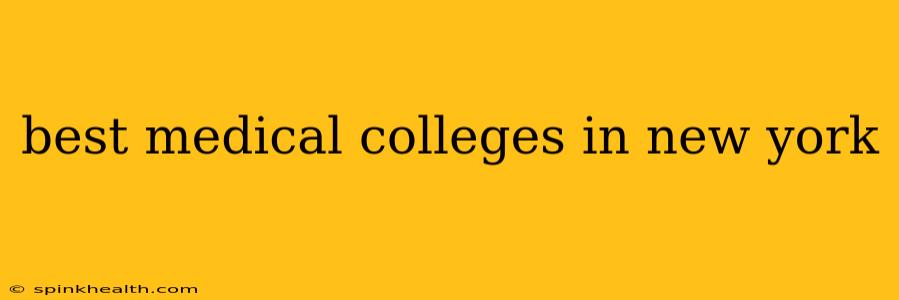 best medical colleges in new york
