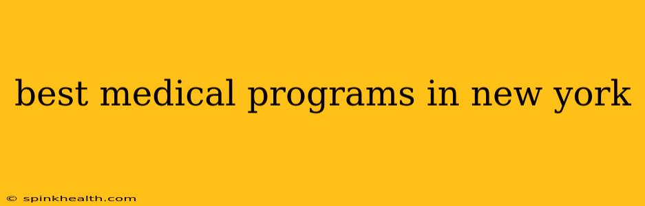 best medical programs in new york