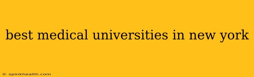 best medical universities in new york