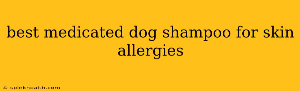 best medicated dog shampoo for skin allergies