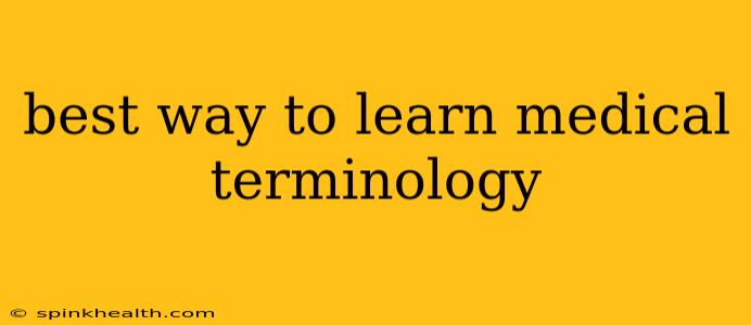 best way to learn medical terminology