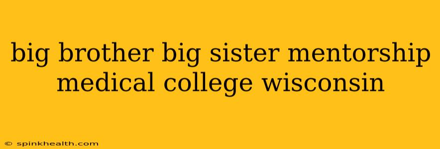 big brother big sister mentorship medical college wisconsin