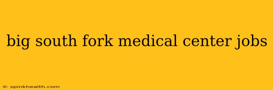 big south fork medical center jobs