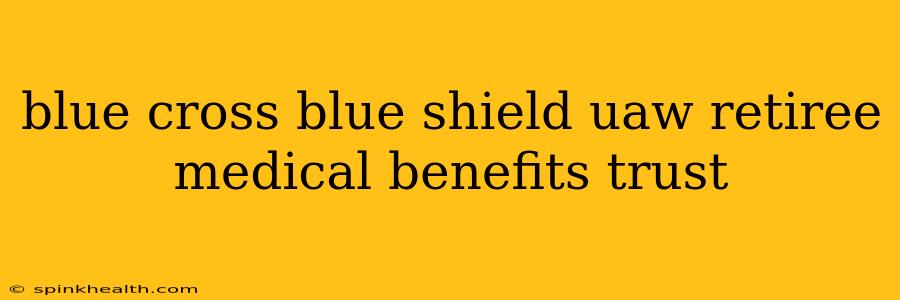 blue cross blue shield uaw retiree medical benefits trust