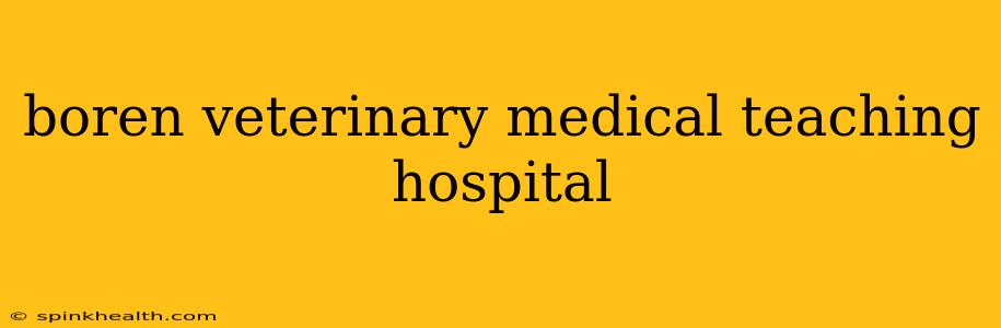 boren veterinary medical teaching hospital