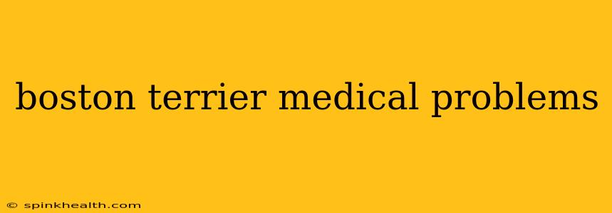 boston terrier medical problems