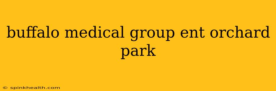 buffalo medical group ent orchard park