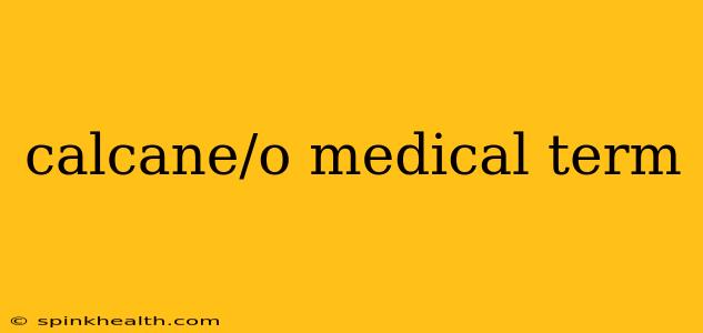 calcane/o medical term