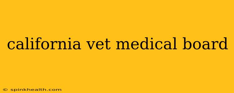 california vet medical board