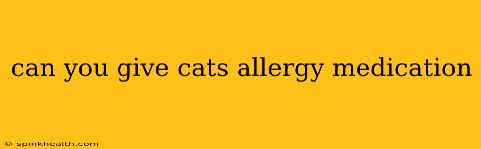 can you give cats allergy medication