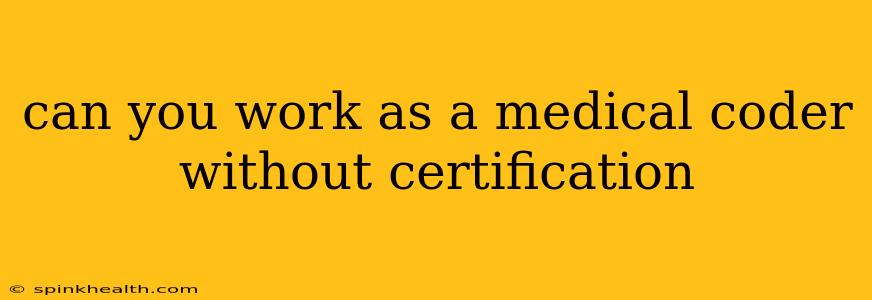 can you work as a medical coder without certification