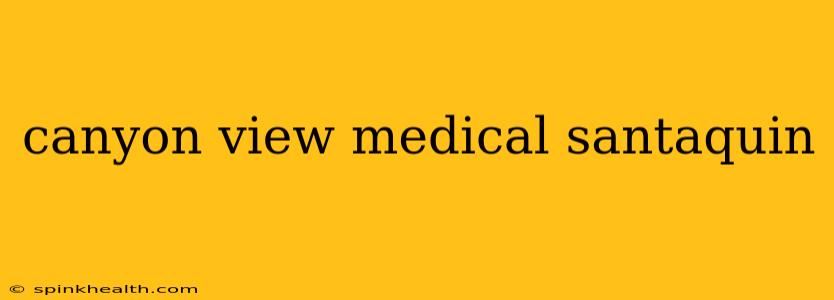 canyon view medical santaquin