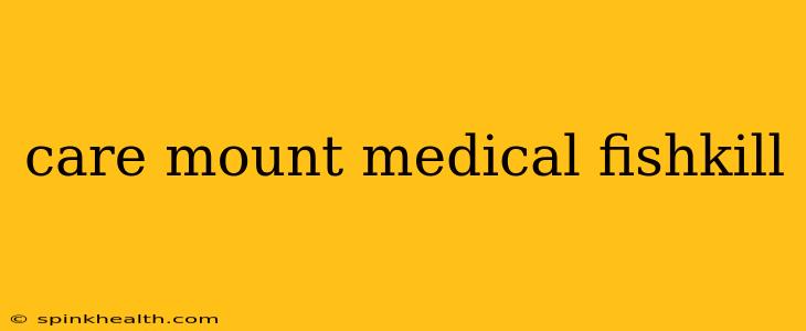 care mount medical fishkill