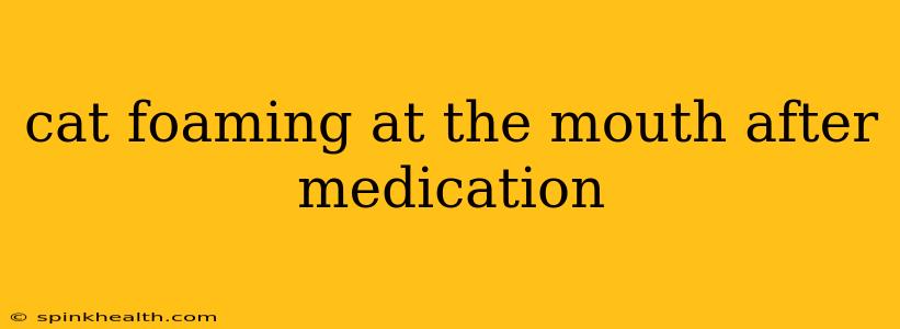 cat foaming at the mouth after medication