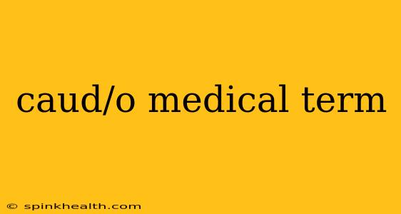 caud/o medical term