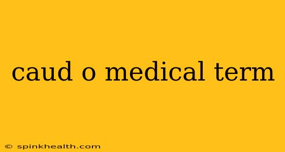 caud o medical term
